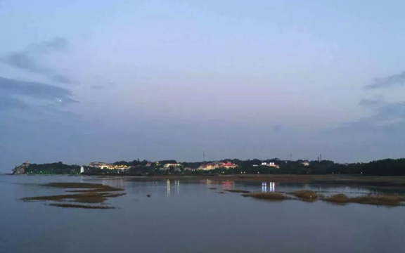 比特币与区块链:林中分出两条路
